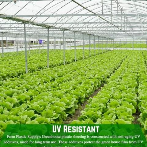 Farm Plastic Supply String Reinforced 10 mil Clear Greenhouse Plastic Sheeting Clear 60′ x 75′
