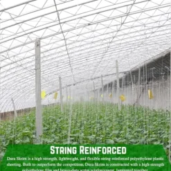 Farm Plastic Supply String Reinforced 10 mil Clear Greenhouse Plastic Sheeting Clear 60′ x 75′