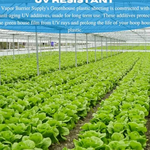 Farm Plastic Supply Vapor Barrier Supply String Reinforced 10 mil Clear Greenhouse Plastic Sheeting Clear 54′ x 100′