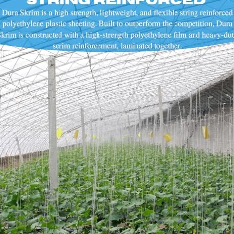 Farm Plastic Supply Vapor Barrier Supply String Reinforced 10 mil Clear Greenhouse Plastic Sheeting Clear 54′ x 100′