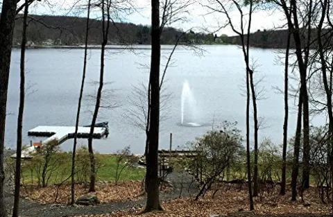 Fawn Lake Fountains FLF Pro-1000 Pond Fountain with 1 HP Pump and 7 Display Patterns