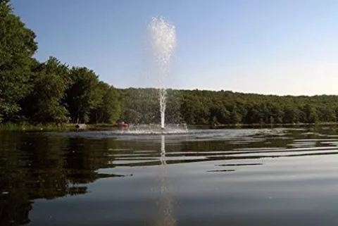 Fawn Lake Fountains Model SF50 1/2 HP Pond Fountain with 7 Patterns, 100ft Cord