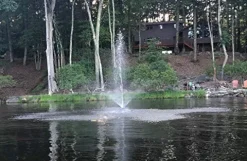 Fawn Lake Fountains Pond Fountain Model SF25 with 7 Patterns, 1/3 HP Pump, 100ft Cable Flf Sf25