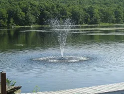 Fawn Lake Fountains Pond Fountain Model SF25 with 7 Patterns, 1/3 HP Pump, 100ft Cable Flf Sf25