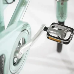 FIRTH SPORTS Nadine SE Women’s Aluminum Step-Thru City Bike Green