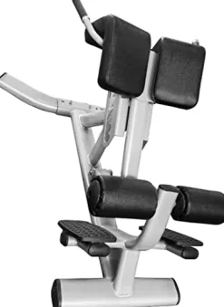 French Fitness 45 Degree Hyperextension Back Extension Silver
