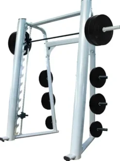 French Fitness FFS Silver Elite Smith Machine
