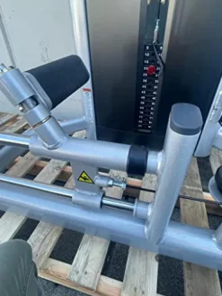 French Fitness FFS Silver Glute Machine