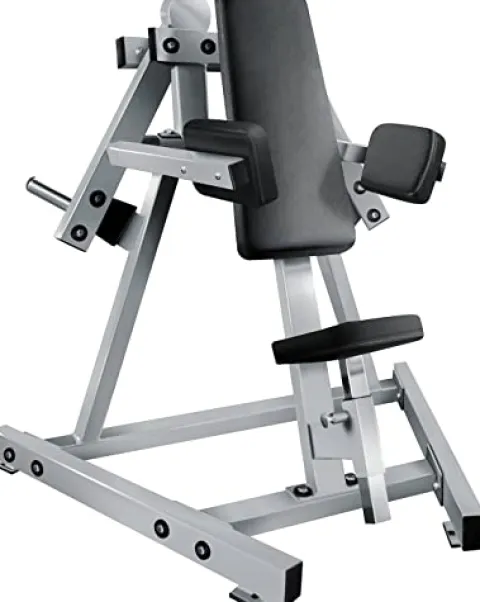 French Fitness Napa P/L Lateral Raise Machine New