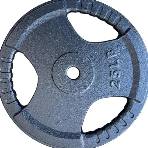 French Fitness Standard Cast Iron 1″ Weight Plate Set 350 lbs