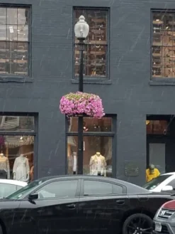 Garden Artisans 25 in Lamppost Hayrack with Molded Coco Liner – 2 Pack Black Brown