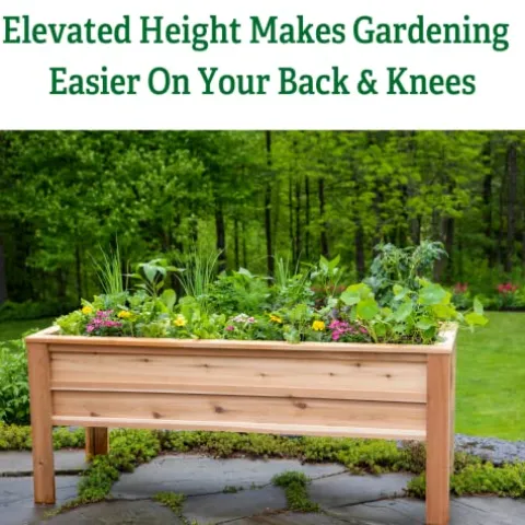 Gardener’s Supply Company Craftsbury Cedar Wood Elevated Raised Garden Bed 2ft x 6ft