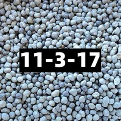 Generic Bean Stalk Absolute Flower Controlled Release Fertilizer 50 lb Pail