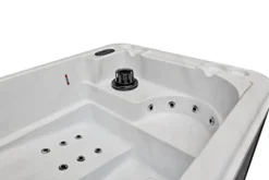 Generic Riley 2-Person 26-Jet Dual Lounger Hot Tub