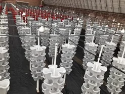 Generic U-Pick Garden Vertical Planters Black