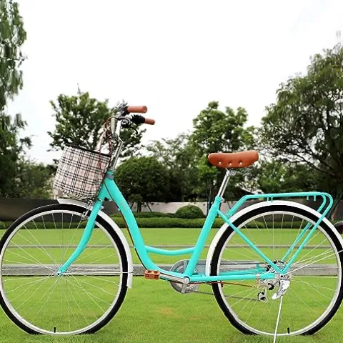 GENERIC Women’s Beach Cruiser Bicycle 7 Speed 24 Inch Mint Green
