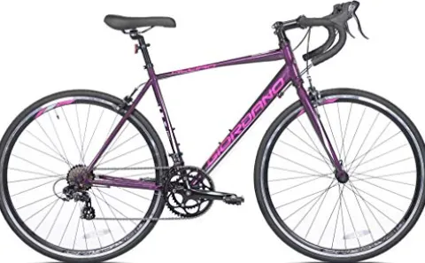 Giordano 700c Women’s Acciao Road Bike Silver