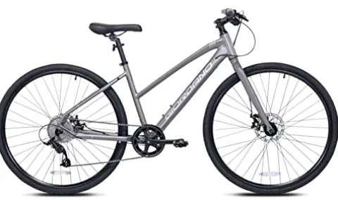 Giordano H1 Women’s Hybrid Bicycle Gray