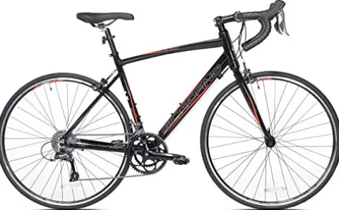 Giordano Libero Aluminum Road Bike Silver