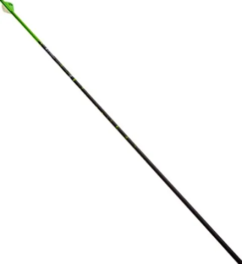 Gold Tip Name The Game XT 300 Arrows with 2-Inch HP Vanes 72 Count Green Splash Green