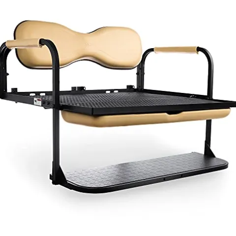 Golf Cart King MODZ® Flip4 Club Car DS Golf Cart Rear Seat Kit – Buff