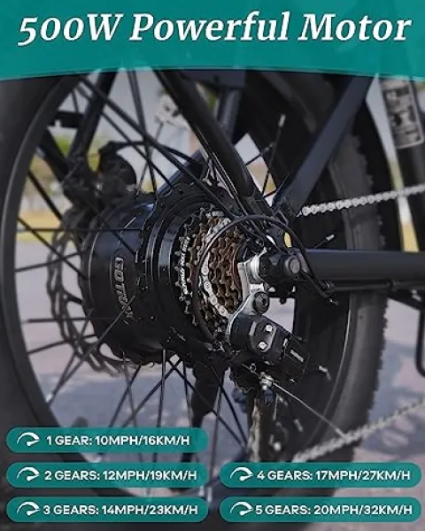 Gotrax F2 20″ Folding Electric Bike Black Large