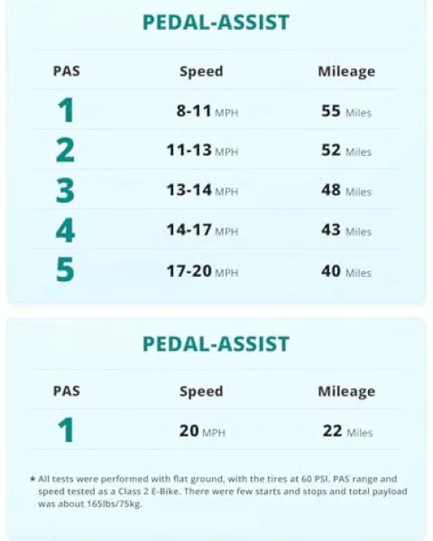 Gotrax F2 20″ Folding Electric Bike Black Large