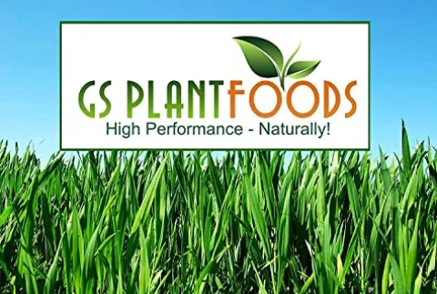 GS Plant Foods All Natural Root Ruckus Organic Liquid Compost 55 Gallon
