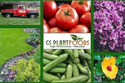 GS Plant Foods Organic Liquid Humic Acid 55 Gallon