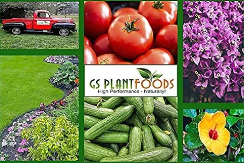 GS Plant Foods Organic Liquid Humic Acid 55 Gallon