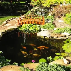 HALF OFF PONDS Complete PRO 5200 Water Garden and Pond Kit with EPDM Liner Black