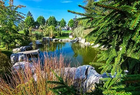 HALF OFF PONDS PondBuilder Elite 6100 Complete Water Garden and Pond Kit with EPDM Liner Black