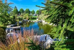 HALF OFF PONDS PondBuilder Elite 6100 Complete Water Garden and Pond Kit with PVC Liner Black