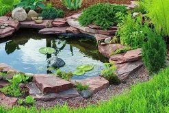 HALF OFF PONDS Savio Select 3000 Water Garden and Pond Kit with EPDM Rubber Liner Black