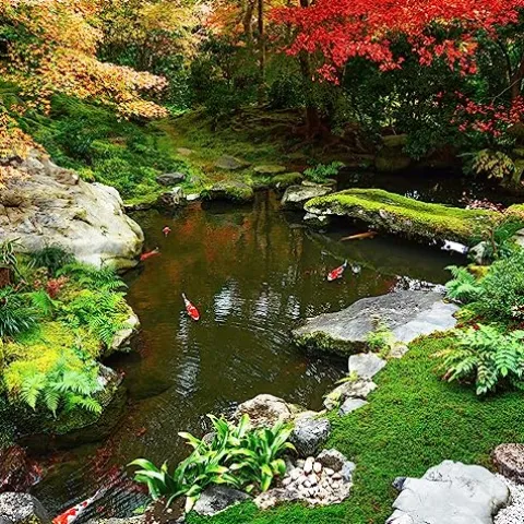 HALF OFF PONDS Savio Signature Ultimate Water Garden and Koi Pond Kit with UVinex Filter, Aeration System, and Liner Black