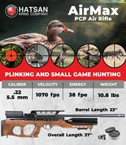 Hatsan AirMax .22 Cal Air Rifle Bundle with 250ct Pellets and 100 Paper Targets Black