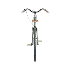 Head Groove Belt Drive Comfort Hybrid Bike Green