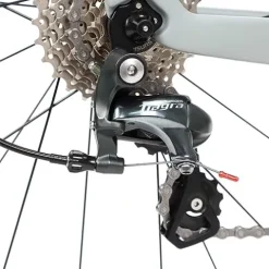 Hearts Bio Carbon Road Bike Model H Tiagra 20s – HeartsGray