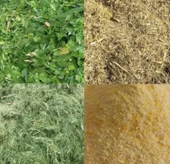 INTSUPERMAI Straw Crusher and Feed Pulverizer Machine 220V 500KG/H Red