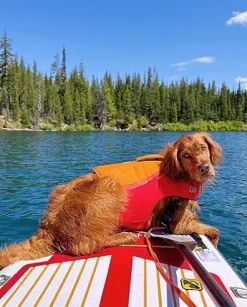 iROCKER Blackfin Model V Inflatable Stand Up Paddle Board Blue Gold