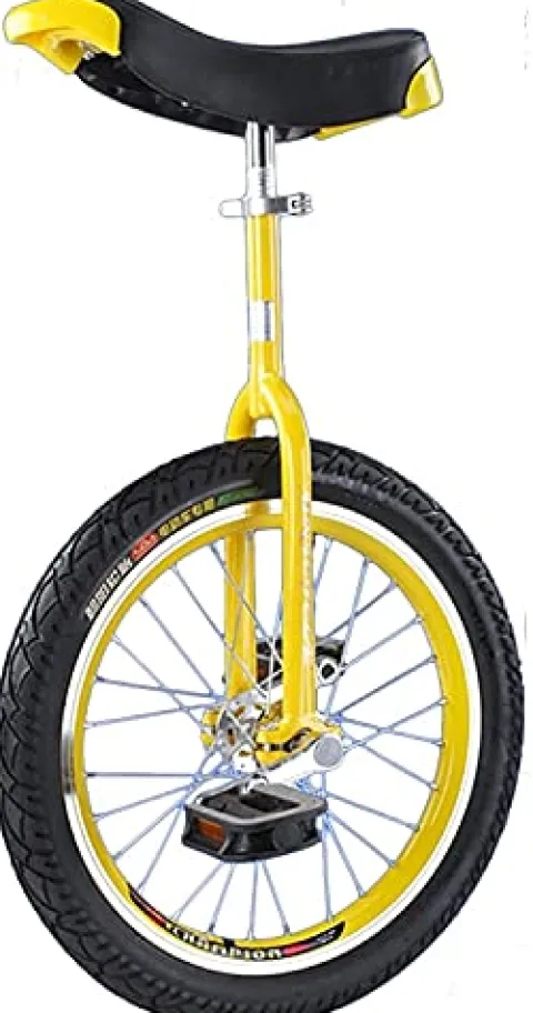 JINCAN 24″ Unicycle Freestyle Cycling Pedal Bicycle Outdoor Balance Sports