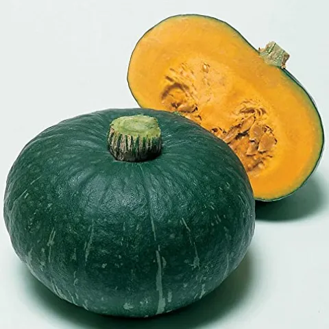 Kitazawa Seed Company Japanese Winter Squash Seeds Sweet Mama Hybrid 1 Lb Yellow