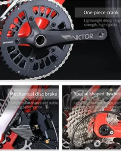 KOOTU Carbon Road Bike Blue Pink