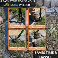 Landzie Spreader & Weeder Lawn Care Set – 60″ Compost Spreader & 44″ Manual Weeder Green