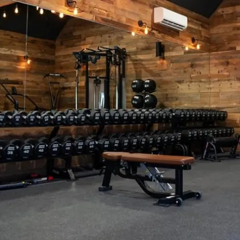 Life Fitness Hammer Strength 12 Sided Urethane Dumbbell 100Lb Black