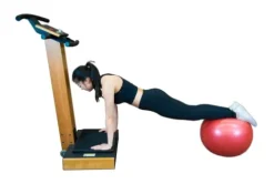 LifetimeVibe Whole Body Vibration Plate Cherrywood