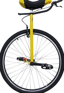 LJYT Heavy Duty 28inch Unicycle for Adults 200 Pounds