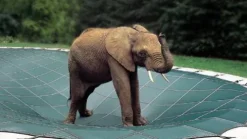 Loop-Loc Safety Pool Cover 25′ x 50” Green