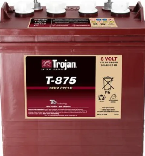 Lot of 12 Trojan T-875 8V Golf Cart Batteries