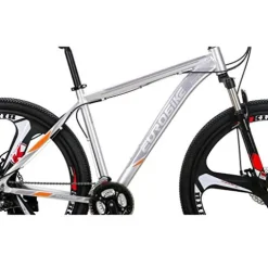 LZBIKE Aluminum Alloy Mountain Bike 21 Speed Shock Absorption Silver